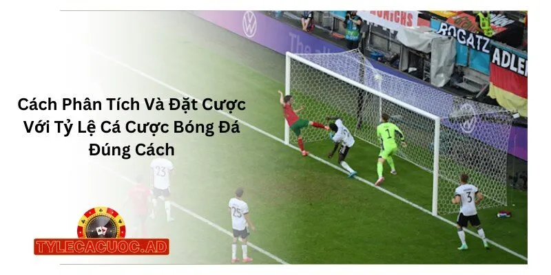 Cách Phân Tích Và Đặt Cược Với Tỷ Lệ Cá Cược Bóng Đá Đúng Cách