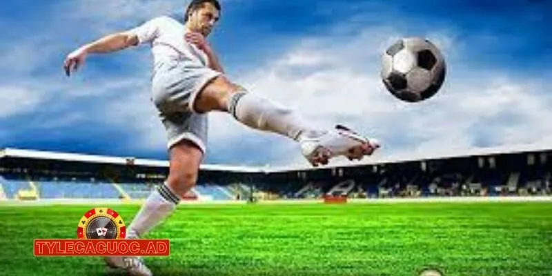 du doan bong da theo phong do cac doi 2 Dự Đoán Bóng Đá Theo Phong Độ Các Đội