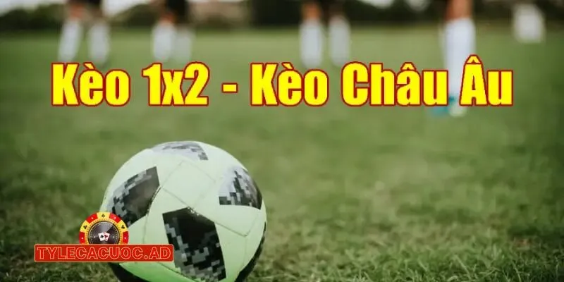 giai ma ty le ca cuoc chau a va chau au trong bong da 1 Giải Mã Tỷ Lệ Cá Cược Châu Á Và Châu Âu Trong Bóng Đá