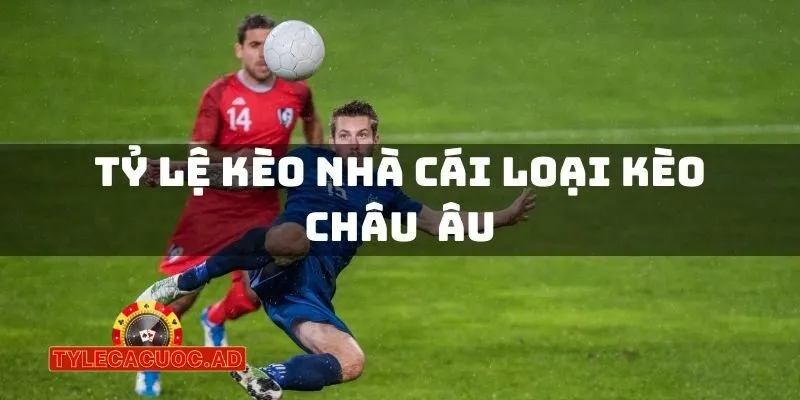 giai ma ty le ca cuoc chau a va chau au trong bong da 2 Giải Mã Tỷ Lệ Cá Cược Châu Á Và Châu Âu Trong Bóng Đá