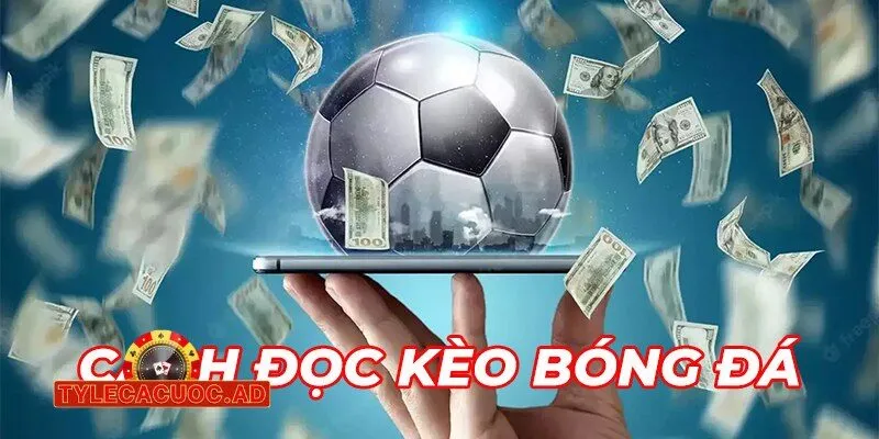 giai ma ty le ca cuoc chau a va chau au trong bong da 3 Giải Mã Tỷ Lệ Cá Cược Châu Á Và Châu Âu Trong Bóng Đá
