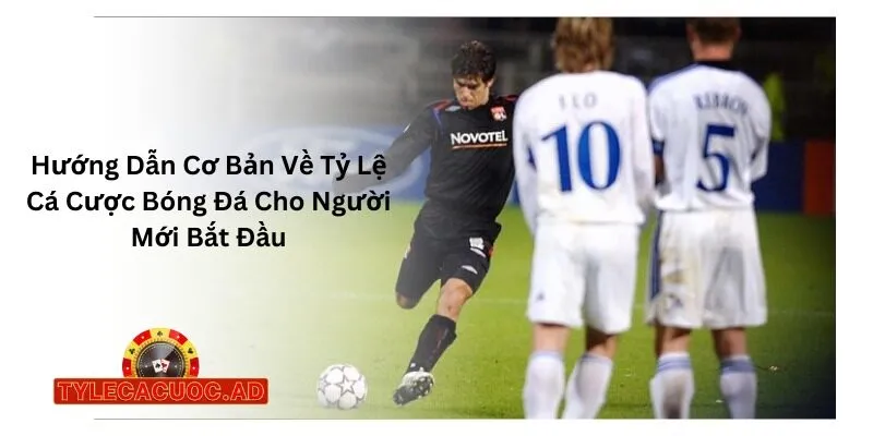 Hướng Dẫn Cơ Bản Về Tỷ Lệ Cá Cược Bóng Đá Cho Người Mới Bắt Đầu
