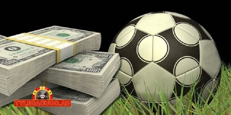 ke ten top trang web ca cuoc bong da uy tin nhat bay gio 2 Kể Tên Top Trang Web Cá Cược Bóng Đá