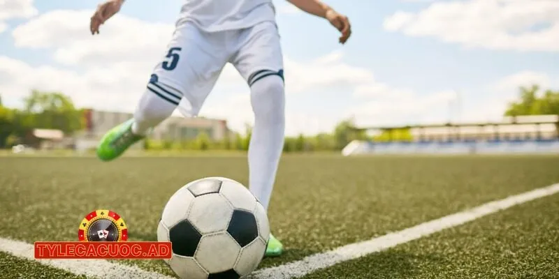 lich thi dau bong da y 2024 2025 moi nhat 1 Lịch Thi Đấu Bóng Đá Ý 2024/2025 Mới Nhất