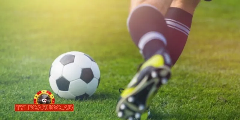 lich thi dau bong da y 2024 2025 moi nhat 2 Lịch Thi Đấu Bóng Đá Ý 2024/2025 Mới Nhất