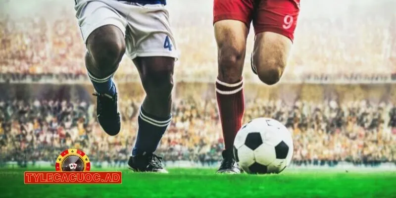 lich thi dau bong da y 2024 2025 moi nhat 3 Lịch Thi Đấu Bóng Đá Ý 2024/2025 Mới Nhất