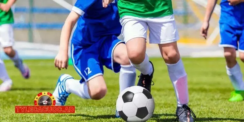lich thi dau bundesliga 1 Lịch Thi Đấu Bundesliga