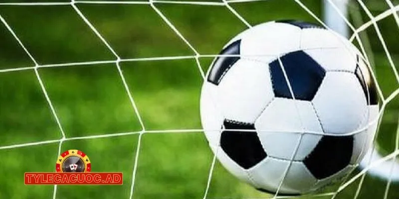 nhan dinh bong da cac giai dau lon Nhận Định Bóng Đá Các Giải Đấu Lớn