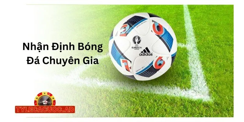 Nhận Định Bóng Đá Chuyên Gia