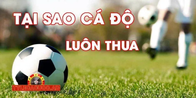 nhung tieu chi quan trong de lua chon nha cai ca cuoc bong da uy tin 2 Những Tiêu Chí Quan Trọng Để Lựa Chọn Nhà Cái Cá Cược Bóng Đá Uy Tín