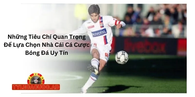 Những Tiêu Chí Quan Trọng Để Lựa Chọn Nhà Cái Cá Cược Bóng Đá Uy Tín