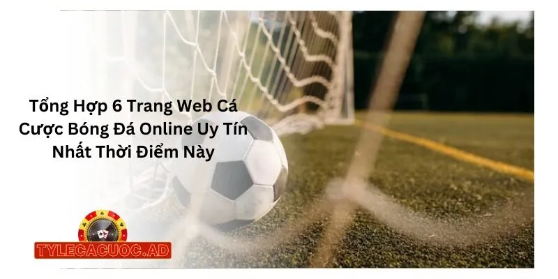 Tổng Hợp 6 Trang Web Cá Cược Bóng Đá Online Uy Tín Nhất Thời Điểm Này