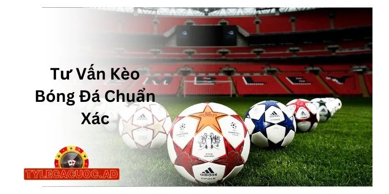Tư Vấn Kèo Bóng Đá Chuẩn Xác
