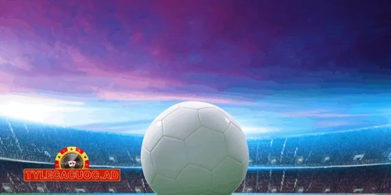 ty le ca cuoc nha cai 8live 3 Nhà Cái 8live