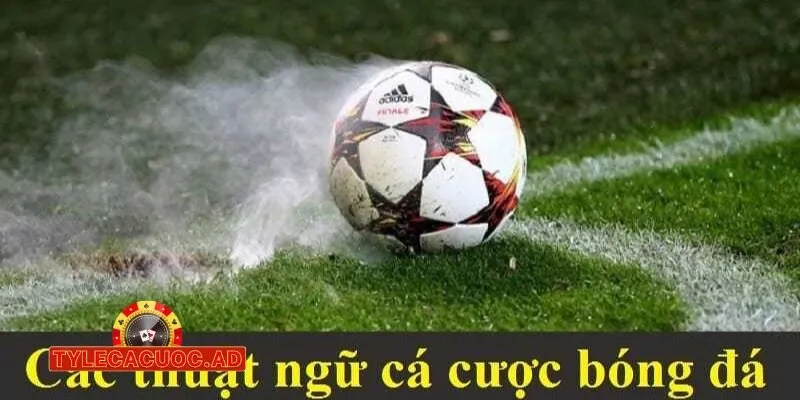 ty le ca cuoc nha cai mibet 1 Nhà Cái Mibet