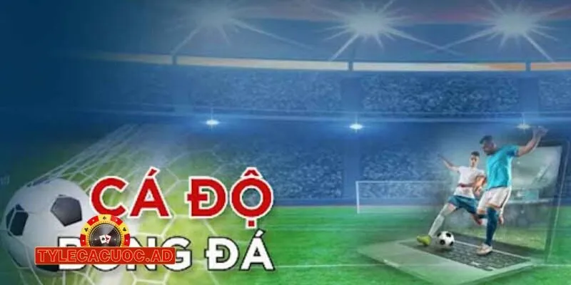 ty le ca cuoc nha cai mibet 2 Nhà Cái Mibet