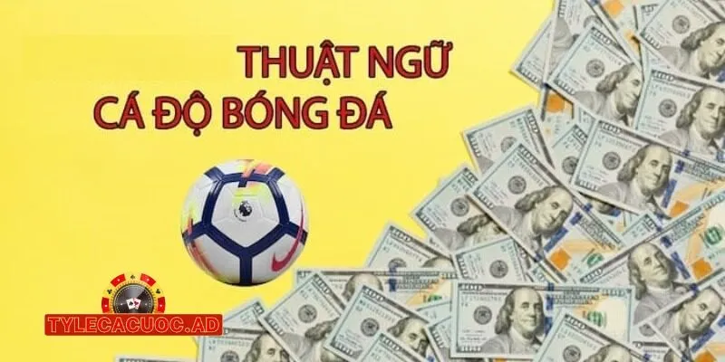 ty le ca cuoc nha cai sin88 1 Nhà Cái Sin88