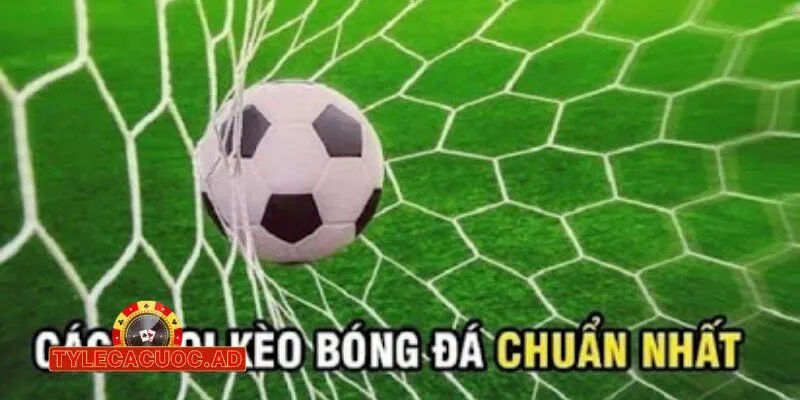 ty le ca cuoc nha cai sv88 3 Nhà Cái Sv88