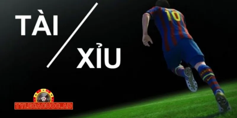 ty le ca cuoc tai xiu trong bong da cach dat cuoc va nhung dieu can biet 3 Tỷ Lệ Cá Cược Tài Xỉu Trong Bóng Đá