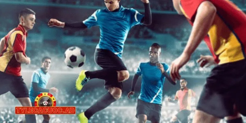 tylecacuoc ad gioi thieu tylecacuoc Giới Thiệu Tylecacuoc