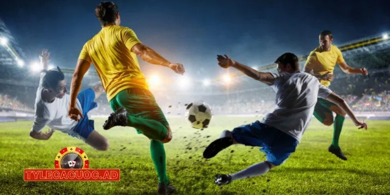 tylecacuoc ad ty le ca cuoc Tỷ Lệ Cá Cược