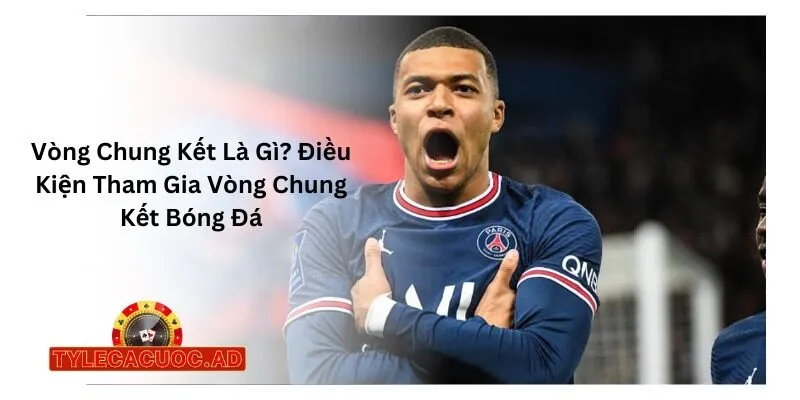 Vòng Chung Kết Là Gì? Điều Kiện Tham Gia Vòng Chung Kết Bóng Đá