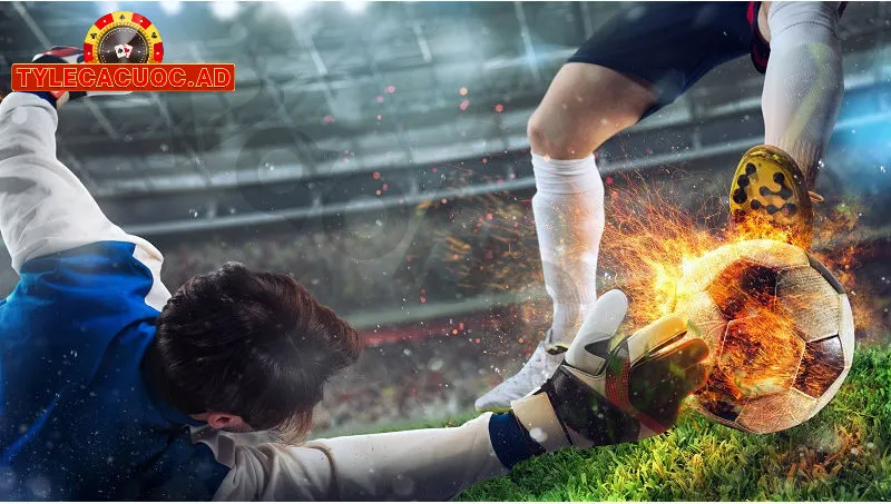 cach xem ty le ca cuoc bong da chuan nhat la gi Cách Xem Tỷ Lệ Cá Cược Bóng Đá Chuẩn Nhất Là Gì?