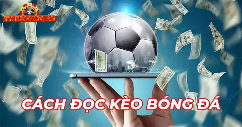 hieu biet ve ty le ca cuoc Hiểu Biết Về Tỷ Lệ Cá Cược