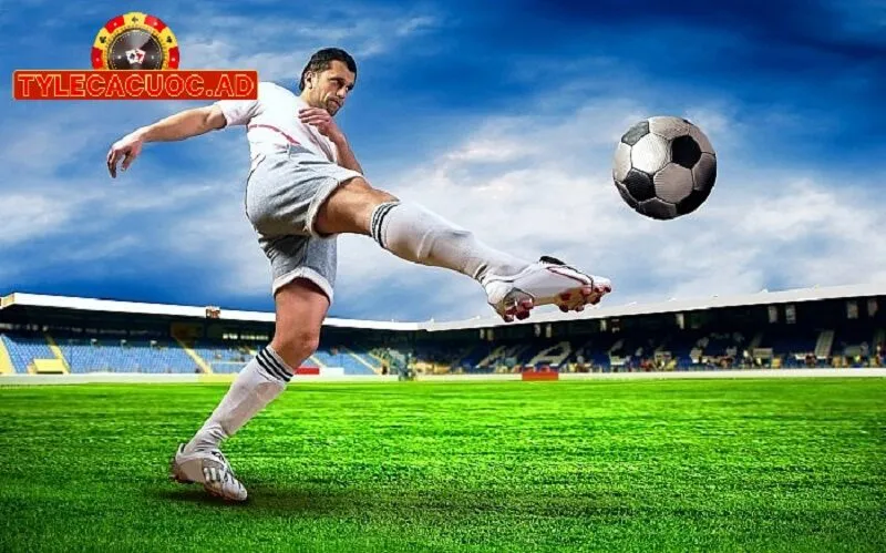 meo cho nguoi moi khi ap dung cach xem ty le ca cuoc bong da chuan nhat Mẹo Cho Người Mới Khi Áp Dụng Cách Xem Tỷ Lệ Cá Cược Bóng Đá Chuẩn Nhất