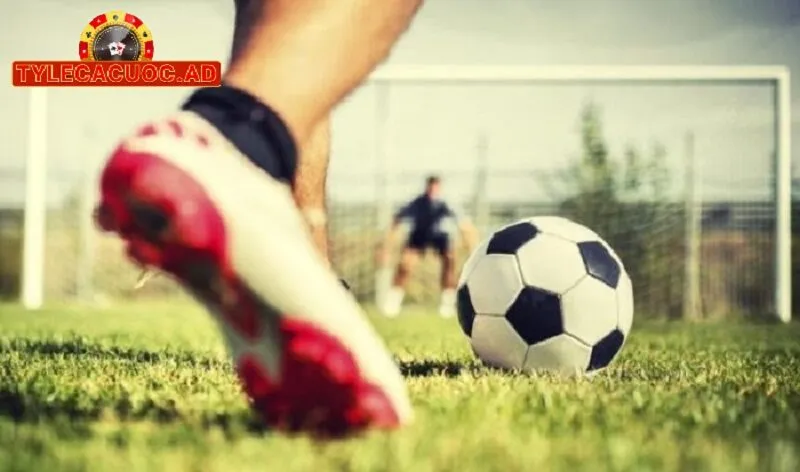 Mẹo Để Tận Dụng Ty Le Ca Cuoc Hiệu Quả