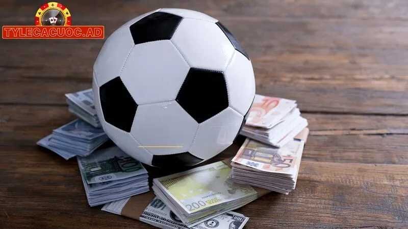 rui ro khi khong hieu ty le ca cuoc Rủi Ro Khi Không Hiểu Tỷ Lệ Cá Cược