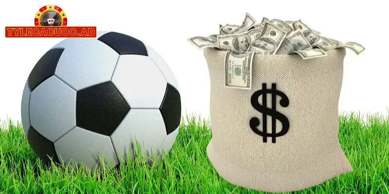 Tầm Quan Trọng Của Việc Cần Hiểu Tỷ Lệ Cá Cược