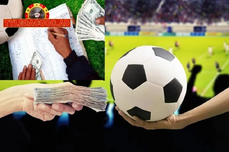 Tỷ Lệ Cá Cược Là Gì?