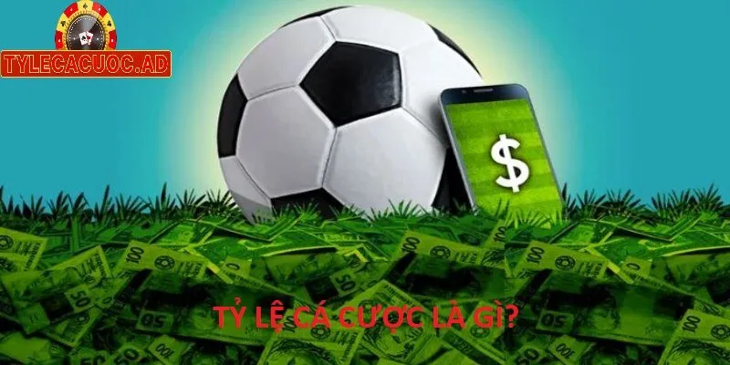 Tỷ Lệ Cá Cược Là Gì? Hướng Dẫn Hiểu Đúng Tylecacuoc
