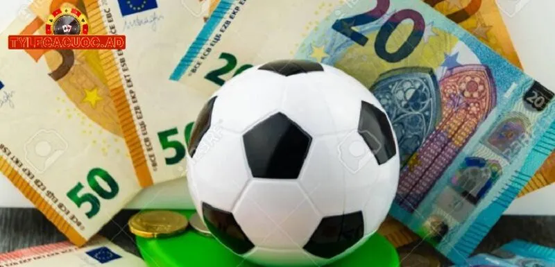Vai Trò Của Tylecacuoc Trong Cá Cược